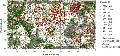 Exposed Rock Reduces Tree Size, but Not Diversity